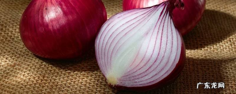 洋葱出芽可以吃么,洋葱出芽还能吃吗,请教一下