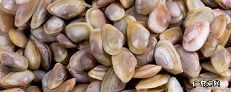 海瓜子怎么炒,海瓜子怎么炒窍门