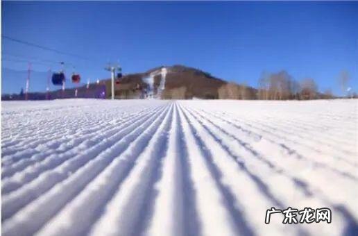 温暖一整个冬天 雪后山东秒变迷你雪城