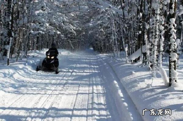 温暖一整个冬天 雪后山东秒变迷你雪城