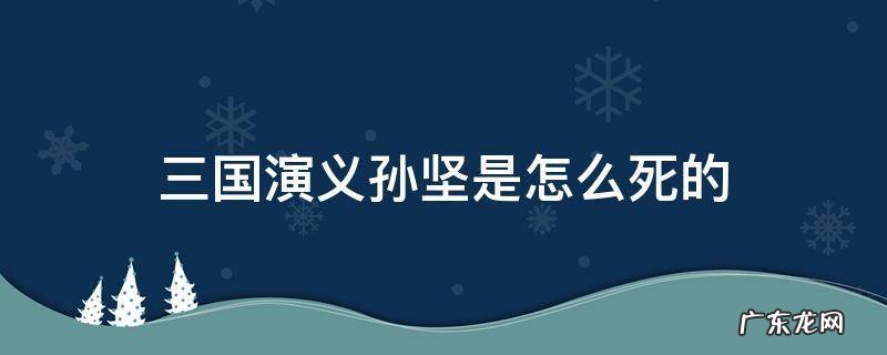 三国演义孙坚是怎么死的