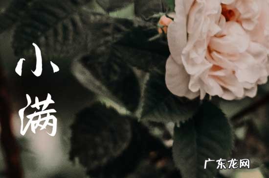 100句 小满朋友圈文案