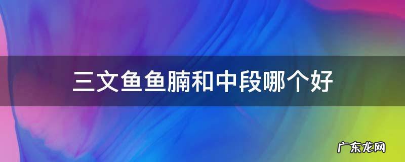 三文鱼鱼腩和中段哪个好