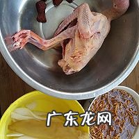 炖鸽子汤怎么做好吃 美味炖鸽子汤的做法推荐