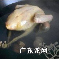 炖鸽子汤方法 懒人版炖鸽子汤的做法介绍