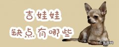 2万元的吉娃娃狗图片 吉娃娃缺点有哪些