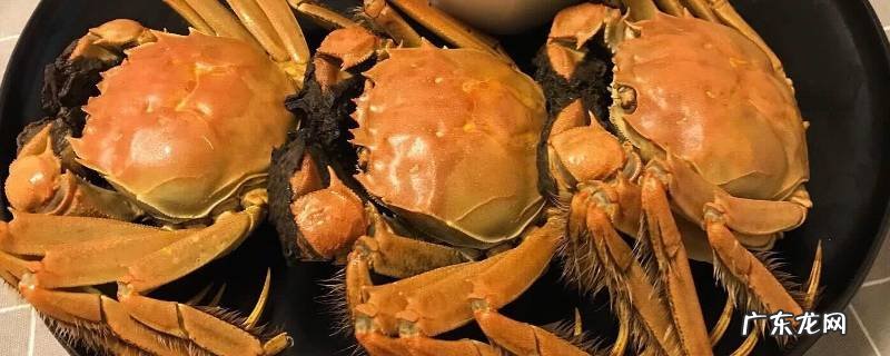 螃蟹死了保存 螃蟹拿回来怎么保存不会死