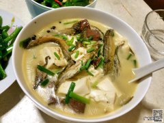 泥鳅炖豆腐怎么做好吃窍门 家庭版泥鳅炖豆腐的做法步骤