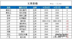 玉米价格正在上涨的路上“狂奔” 现在的玉米价格是多少钱一斤