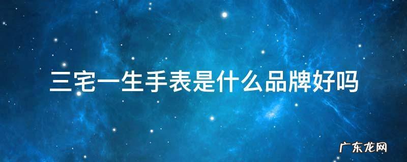 三宅一生手表是什么品牌好吗