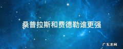 桑普拉斯和费德勒谁更强