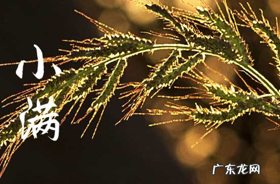 今年小满是几月几日2023