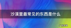 沙漠里最常见的东西是什么