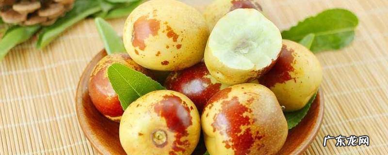 冬枣是什么季节的水果,冬枣是啥时候的水果