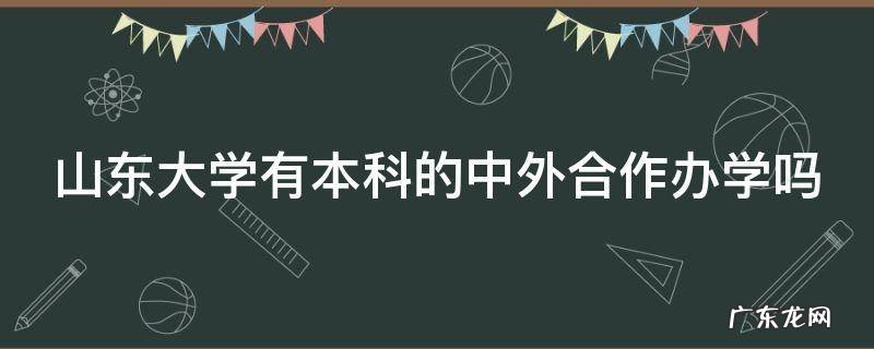 山东大学有本科的中外合作办学吗