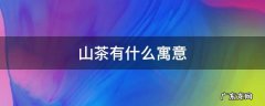 山茶有什么寓意