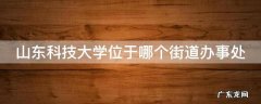 山东科技大学位于哪个街道办事处