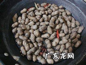 卤花生的做法大全窍门窍门 卤花生简单好吃的做法步骤图解
