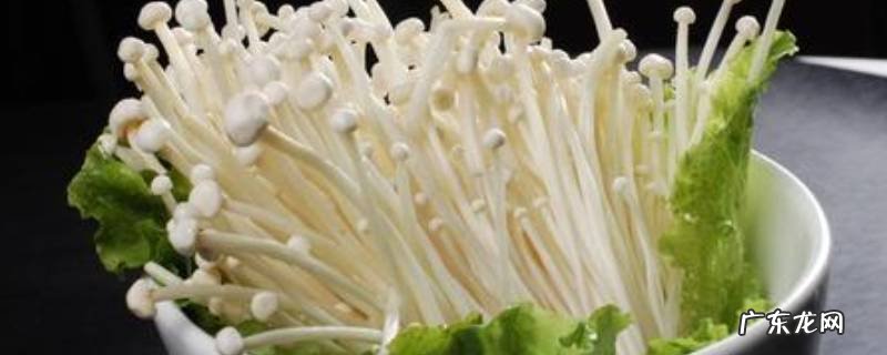金针菇坏了吃了会中毒吗,金针菇会中毒吗?