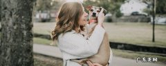 治愈犬有哪些品种 什么狗适合当治愈犬