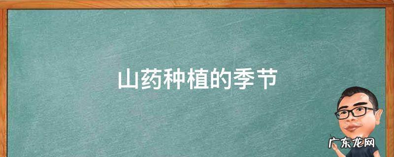 山药种植的季节
