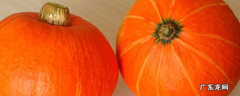 南瓜泥的做法,鸡肉南瓜泥的做法