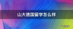 山大德国留学怎么样