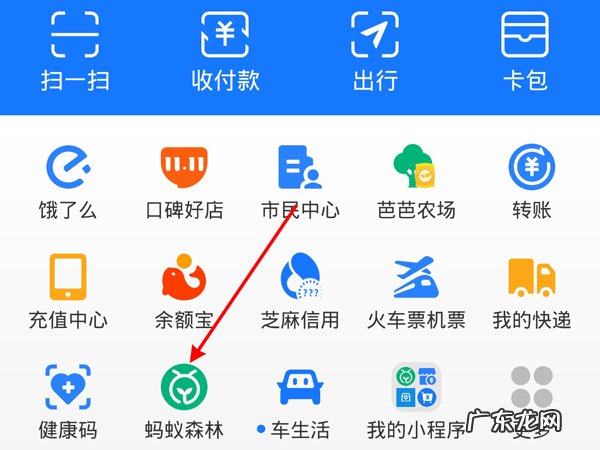 蚂蚁森林怎么送能量雨给别人,如何赠送好友能量雨?