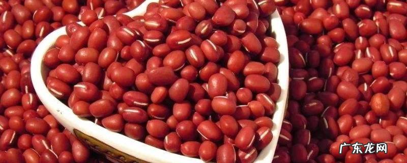 红豆生小黑虫还能吃吗,红豆生黑色飞虫后还能吃么