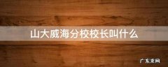 山大威海分校校长叫什么