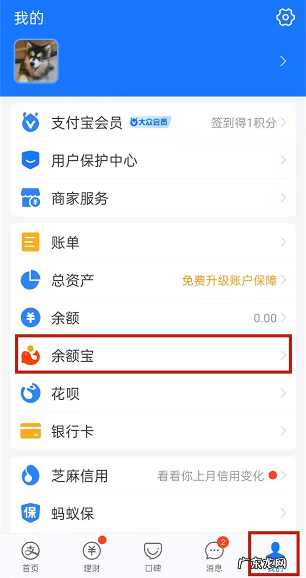 支付宝小猪存钱罐怎么取出来,支付宝小猪储蓄罐是什么程序?