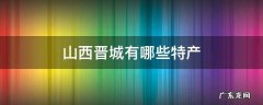 山西晋城有哪些特产
