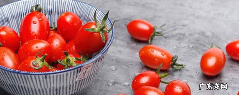 圣女果属于凉性还是热性,圣女果是凉性还是热