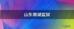山东微湖监狱