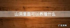山洞里面可以养殖什么