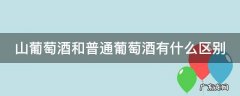 山葡萄酒和普通葡萄酒有什么区别