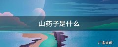 山药子是什么