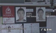 到哪里都是煎熬 辞职后连夜逃亡的贪官出镜痛哭