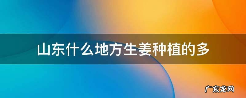 山东什么地方生姜种植的多
