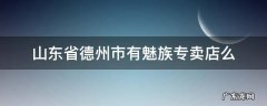 山东省德州市有魅族专卖店么