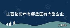 山西临汾市有哪些国有大型企业