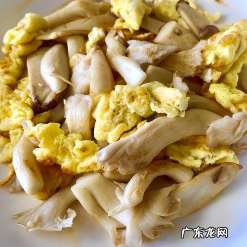 平菇炒鸡蛋怎么炒好吃?学会这个窍门,平菇鲜嫩爽滑,鸡蛋更香
