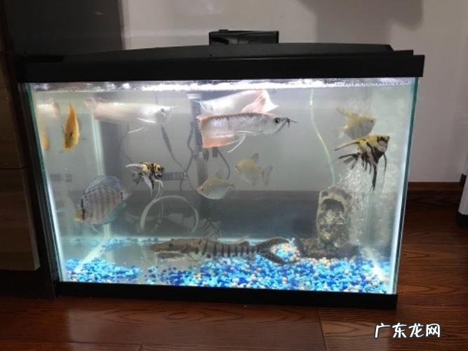 这就是创作者期盼已久的工具 14寸笔记本电脑长和宽是多少