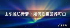 山东潍坊青萝卜如何吃更营养可口