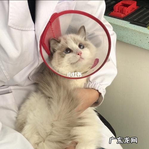 看完后你就是专家 按路由器需要多少钱