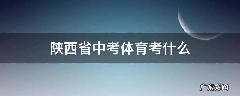 陕西省中考体育考什么
