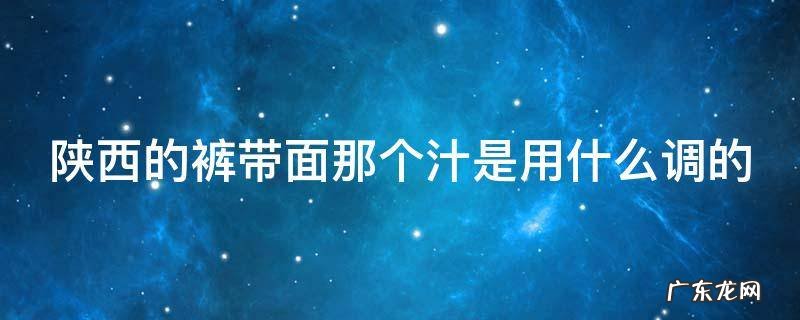 陕西的裤带面那个汁是用什么调的