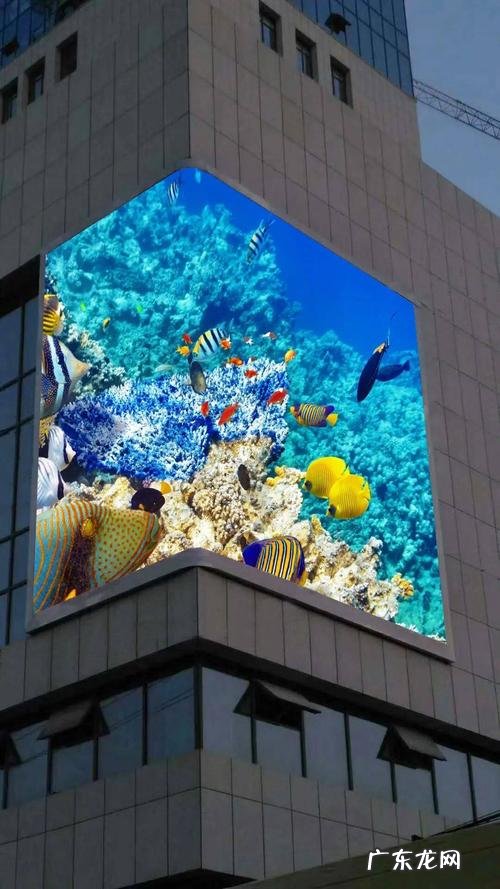 裸眼3d大屏多少钱一平 裸眼3d屏多少钱