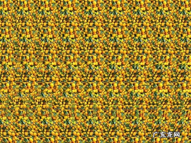 裸眼3d大屏多少钱一平 裸眼3d屏多少钱