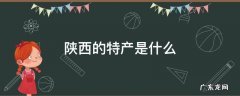 陕西的特产是什么